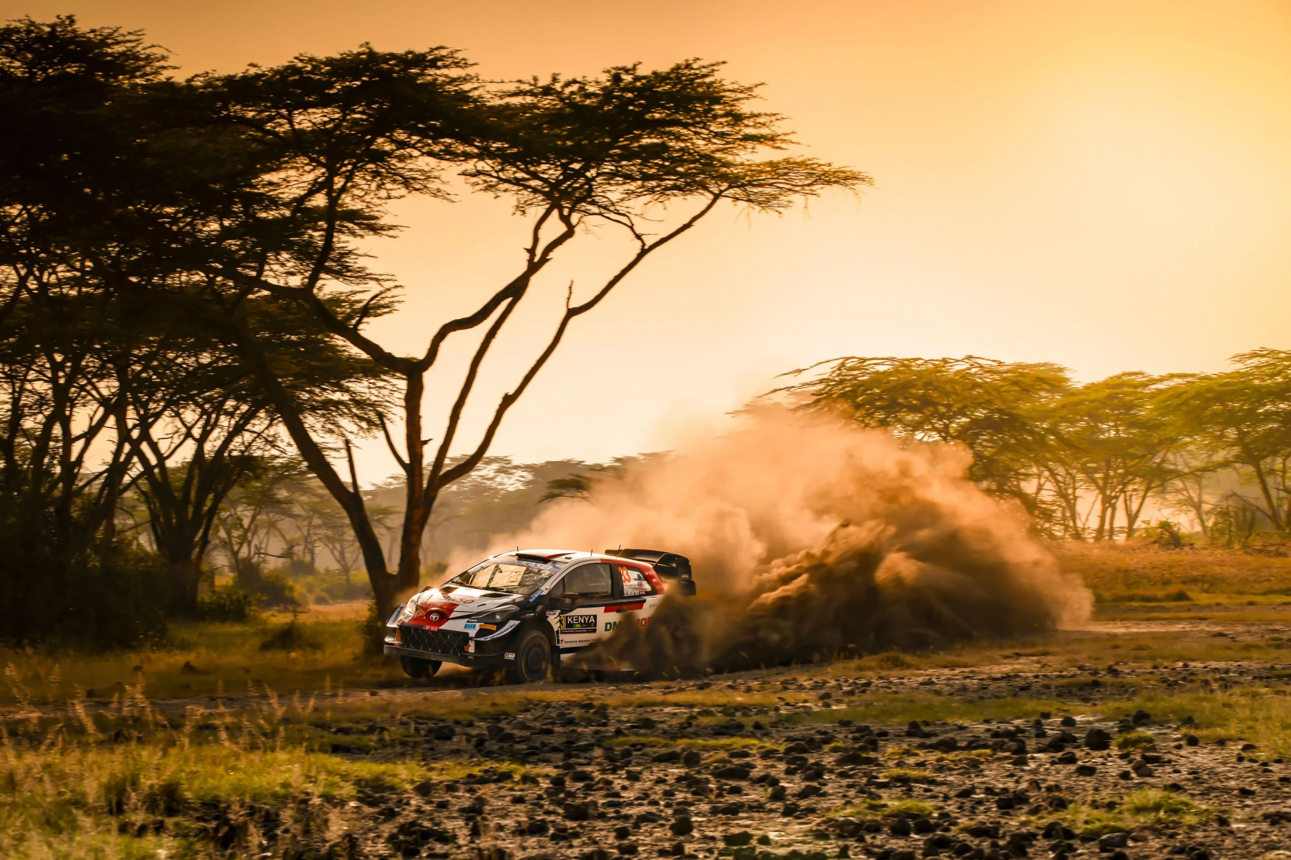 szafari_rally